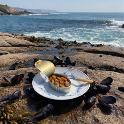 La Br�jula N� 131 Mejillones Picantes (16-20 styk)