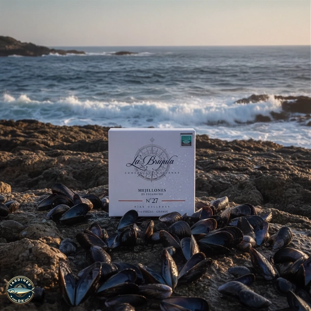 La Br�jula N� 27 Mejillones Grande en Escabeche (8-10 styk)