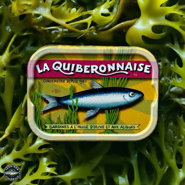 Smagekasse-2 med otte dser Sardines Millsimes fra La Quiberonnaise