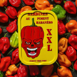 Smagekasse-1 med otte dser Sardines Millsimes fra La Quiberonnaise