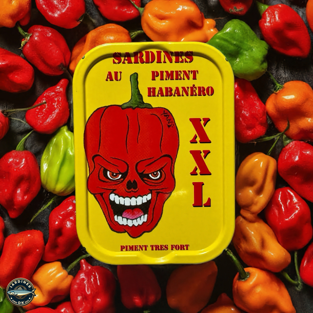 Smagekasse-1 med otte dser Sardines Millsimes fra La Quiberonnaise