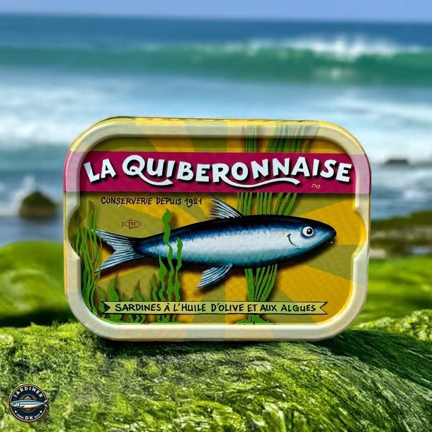 Sardines  l'huile d'olive vierge extra et aux algues - Millsime 2023