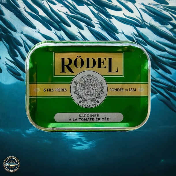 Sardines  la Tomate pice