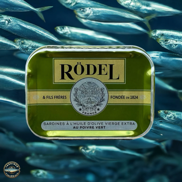 Sardines  l'huile d'olive vierge extra au poivre vert