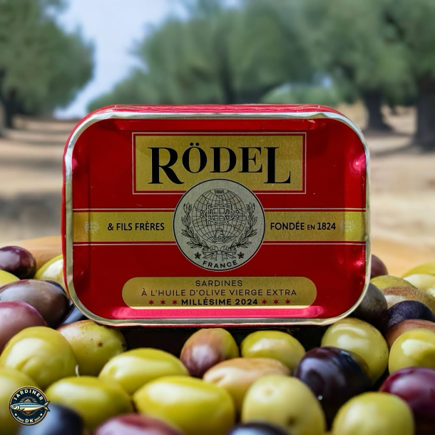 Sardines Millsime 2024 -  l'huile d'olive vierge extra