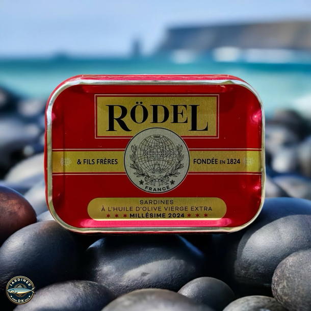 Sardines Millsime 2024 -  l'huile d'olive vierge extra