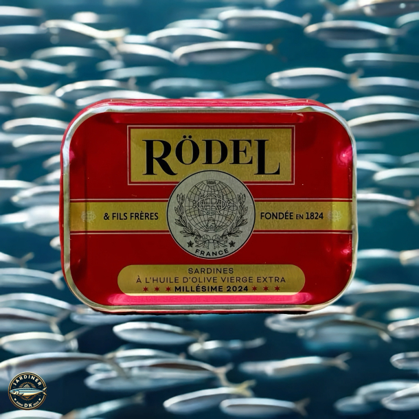 Sardines Millsime 2024 -  l'huile d'olive vierge extra