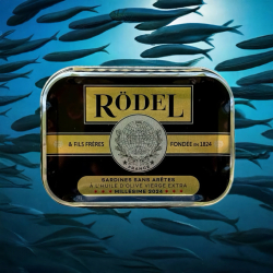 Sardines sans artes Millsime 2024 -  l'huile d'olive vierge extra