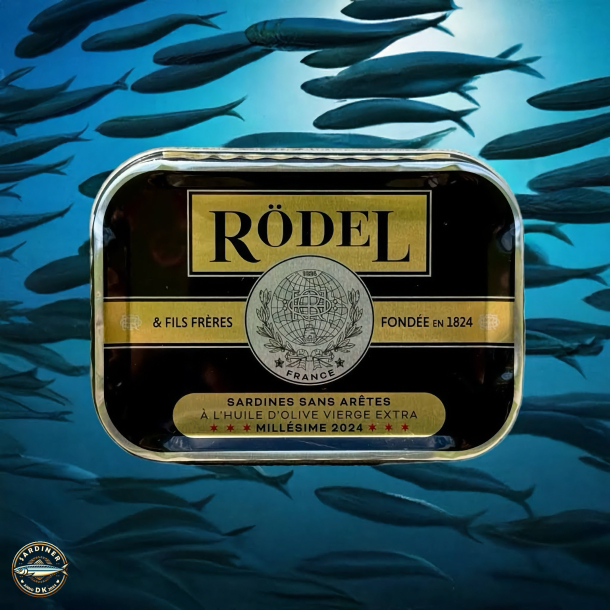 Sardines sans artes Millsime 2024 -  l'huile d'olive vierge extra