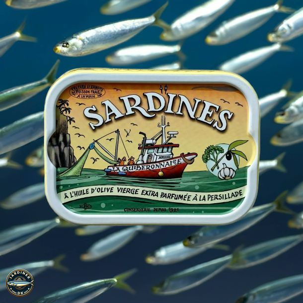 Sardines  l'huile d'olive vierge extra parfume  la persillade - Millsime 2024