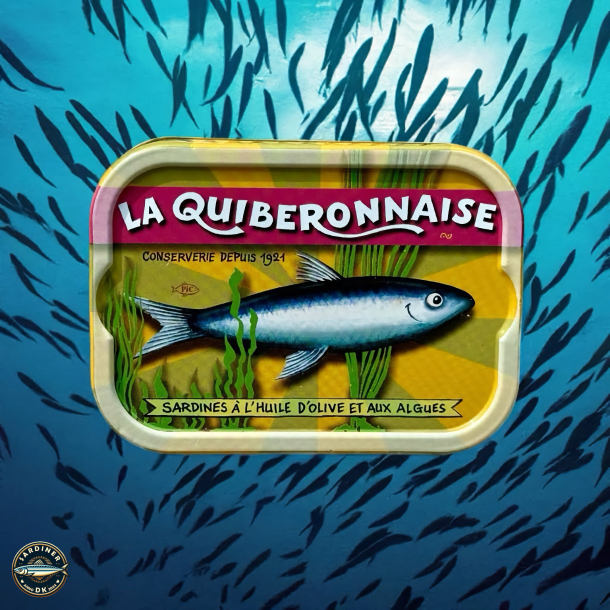 Sardines  l'huile d'olive vierge extra et aux algues - Millsime 2023