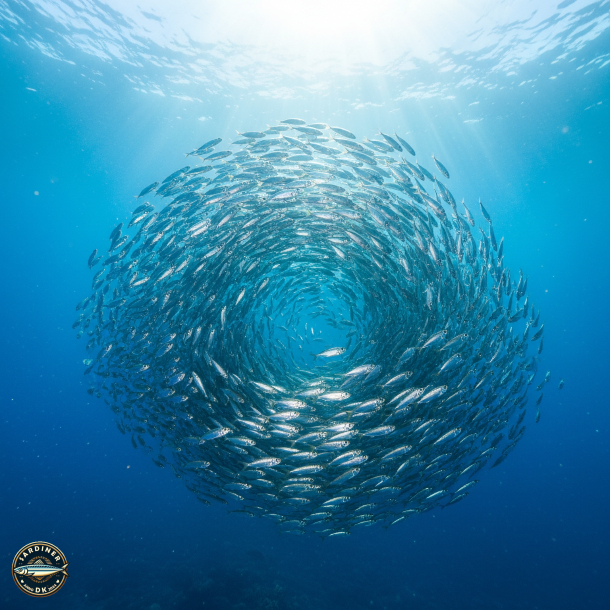 Cr�me de Sardine au Cognac Fine Champagne