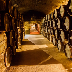 Cr�me de Sardine au Cognac Fine Champagne