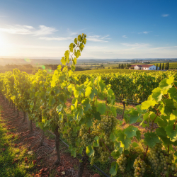 Tartinable de moules de Bretagne � la marini�re