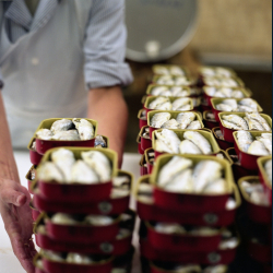 Sardines Millsimes  l'huile d'olive vierge extra